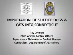 IMPORTATION OF SHELTER DOGS & CATS INTO CONNECTICUT
