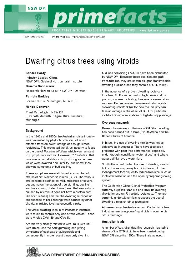 Dwarfing citrus trees using viroids