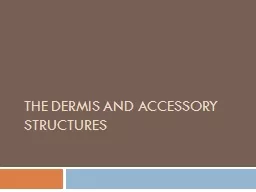 The Dermis and Accessory Structures