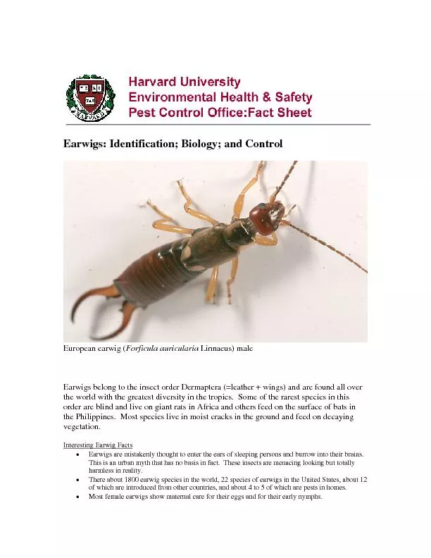 Earwigs: Identification; Biology; and Control
