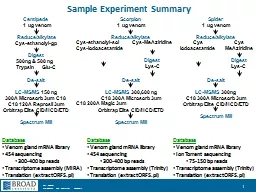 Sample Experiment Summary