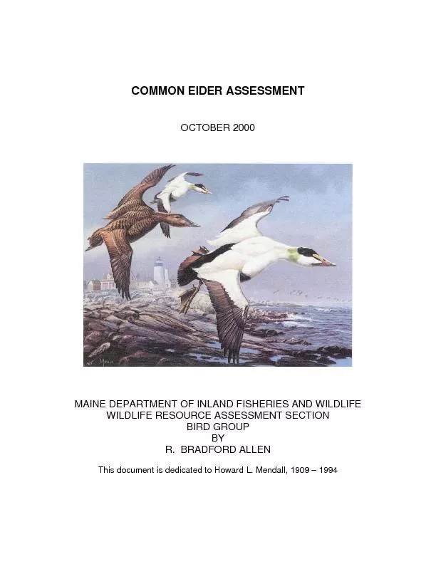 Common Eider Assessment