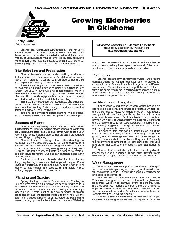 Division of Agricultural Sciences and Natural Resources    Oklahoma S