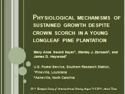 Physiological mechanisms of sustained growth despite crown