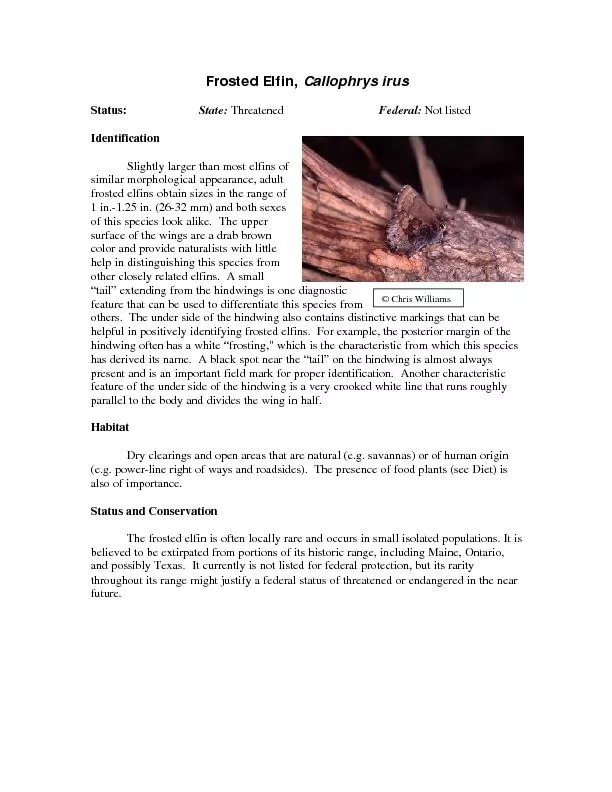 Frosted Elfin, Callophrys irusStatus: ThreatenedFederal: Not listedIde