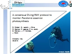 A consensual Diving-PAM protocol to monitor