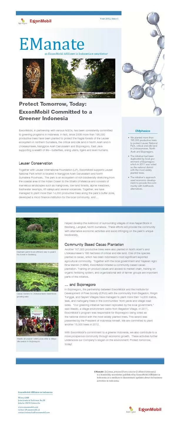 PDF-		\n\r	 thumbnail