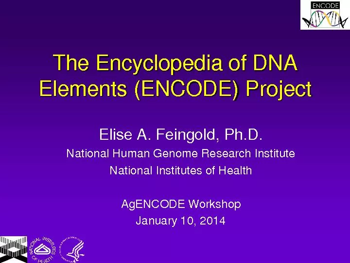 The Encyclopedia of DNA Elements (ENCODE) ProjectElise A. Feingold, Ph