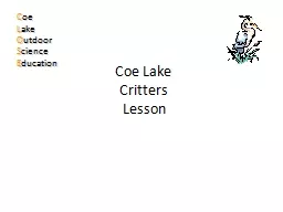 Coe Lake