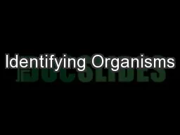 Identifying Organisms