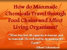How do Manmade Chemicals Travel through Food Chains and Aff