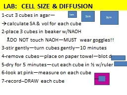 LAB:  CELL SIZE & DIFFUSION