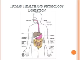 Human Health and Physiology