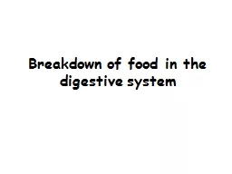 Breakdown of food in the digestive system