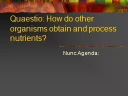 Quaestio: How do other organisms obtain and process nutrien