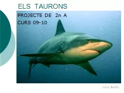 ELS  TAURONS