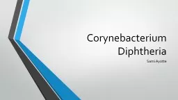 Corynebacterium Diphtheria