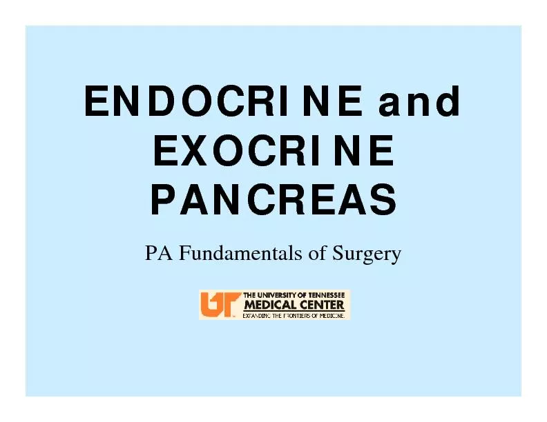ENDOCRINE and EXOCRINE PANCREAS