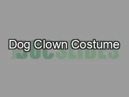 Dog Clown Costume