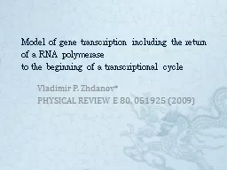 Model of gene transcription including the return of a RNA p