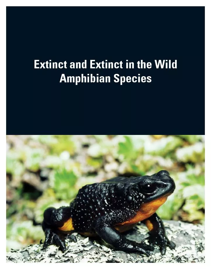 Extinct and Extinct in the Wild Amphibian Species