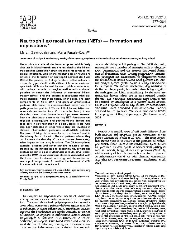 Neutrophil extracellular traps (NETs) — formation and implication