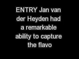 ENTRY Jan van der Heyden had a remarkable ability to capture the flavo