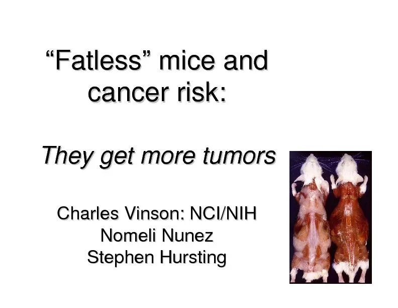 ““FatlessFatless”” mice and mice and cancer risk:c