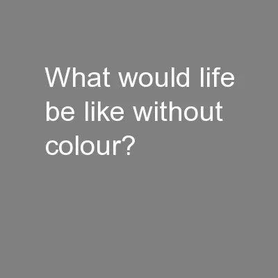 What would life be like without colour?