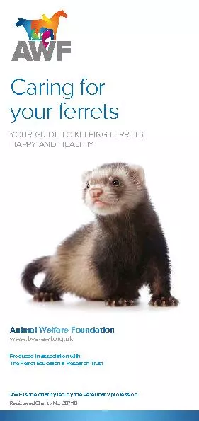 Produced in association withCaring for your ferretsYOUR GUIDE TO KEEPI