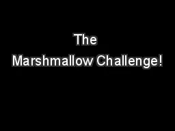 The Marshmallow Challenge!