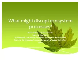 What might disrupt ecosystem processes?