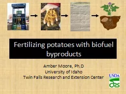 Fertilizing potatoes with