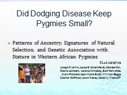 Did Dodging Disease Keep Pygmies Small?
