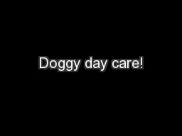 Doggy day care!