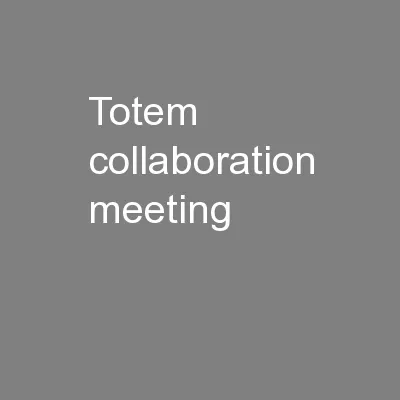 TOTEM COLLABORATION MEETING