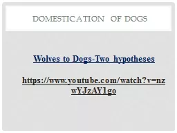 Domestication of Dogs