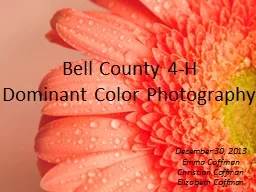 Bell County 4-H