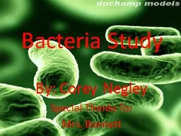 Bacteria Study