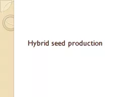 Hybrid seed production