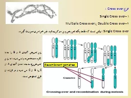 PPT-انواع thumbnail