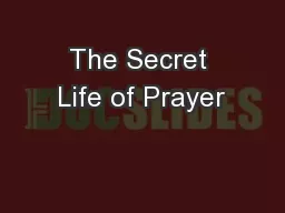The Secret Life of Prayer