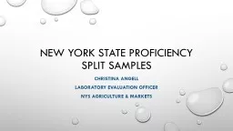 New York State Proficiency Split Samples