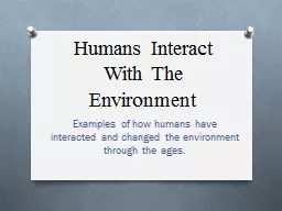 Humans Interact With The Environment