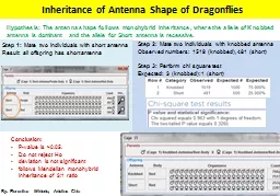 Inheritance of Antenna Shape of Dragonflies