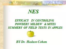 NES EFFICACY  IN CONTROLING