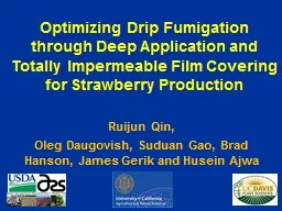 Optimizing Drip Fumigation through Deep Application and Tot