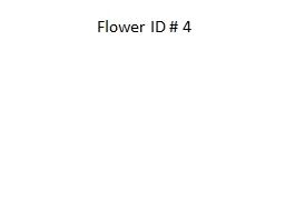 Flower ID # 4
