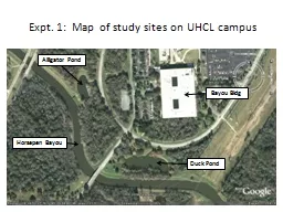 Expt. 1:  Map of study sites on UHCL campus