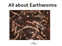 All about Earthworms
